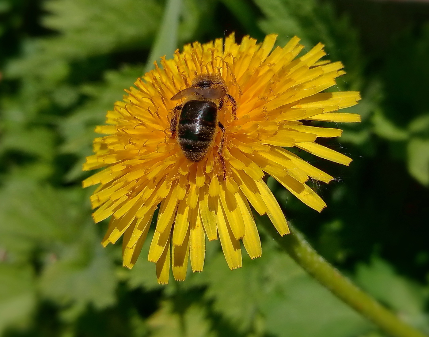 Трудно оторваться..