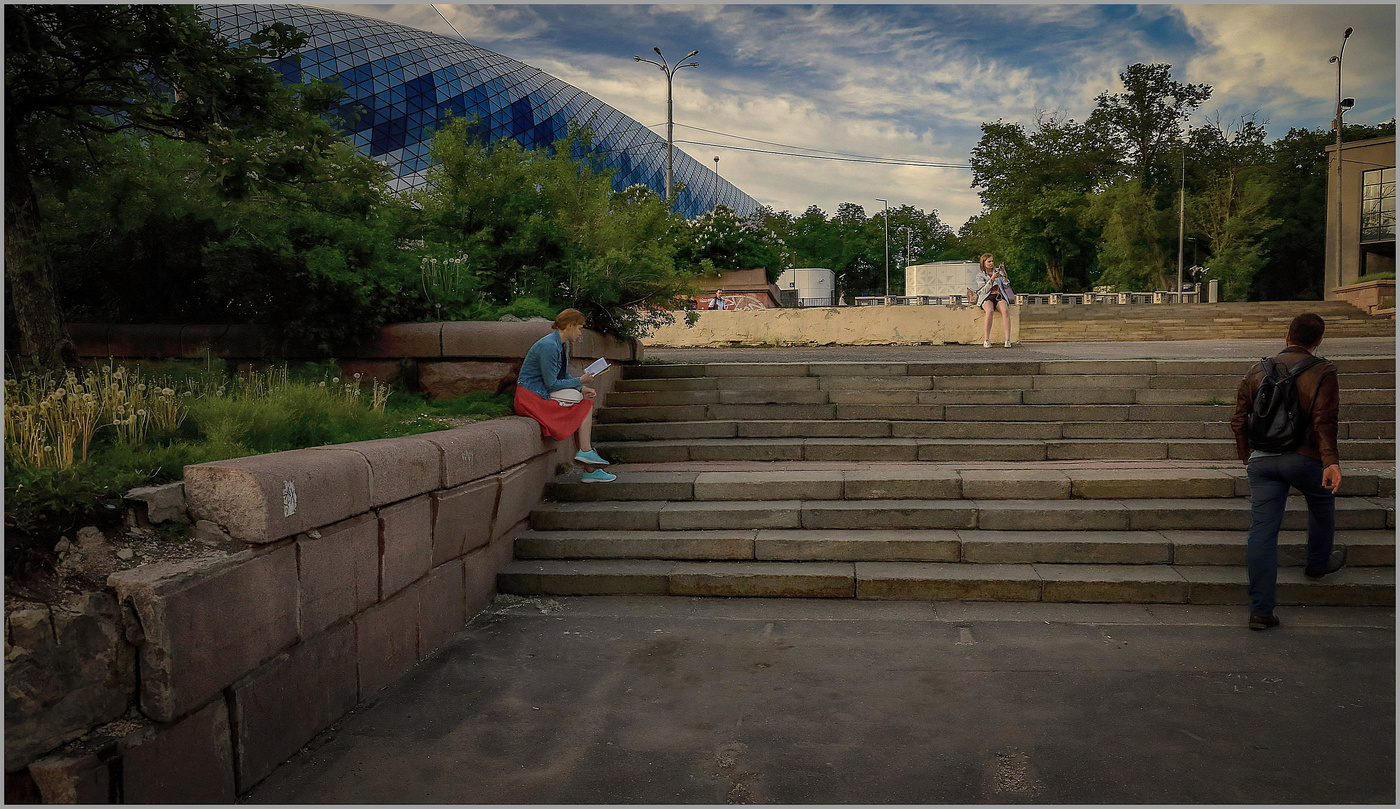 Вино из одуванчиков