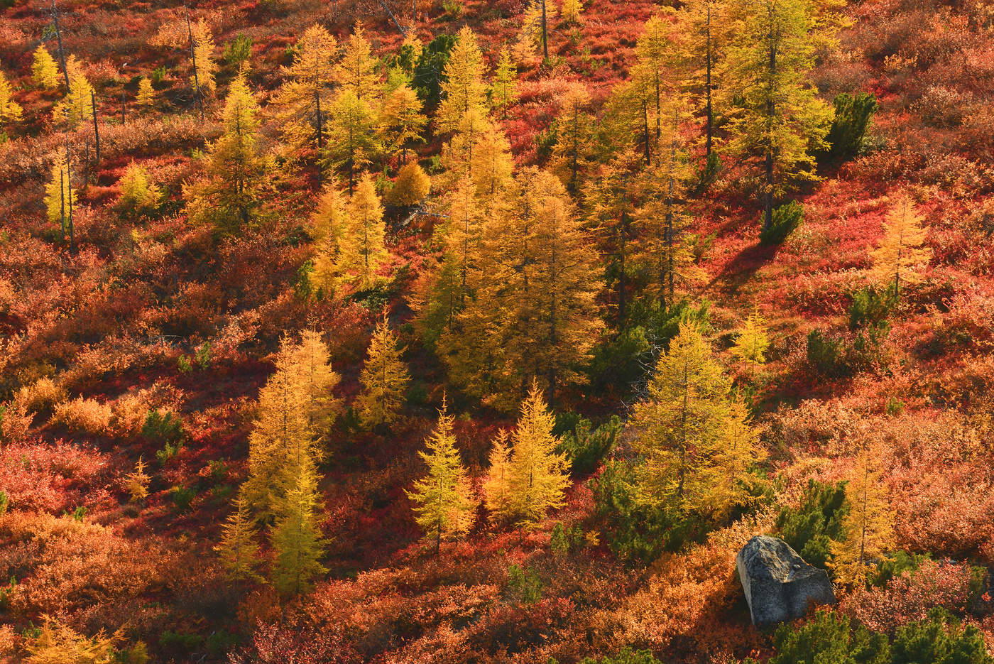 Краски сентября