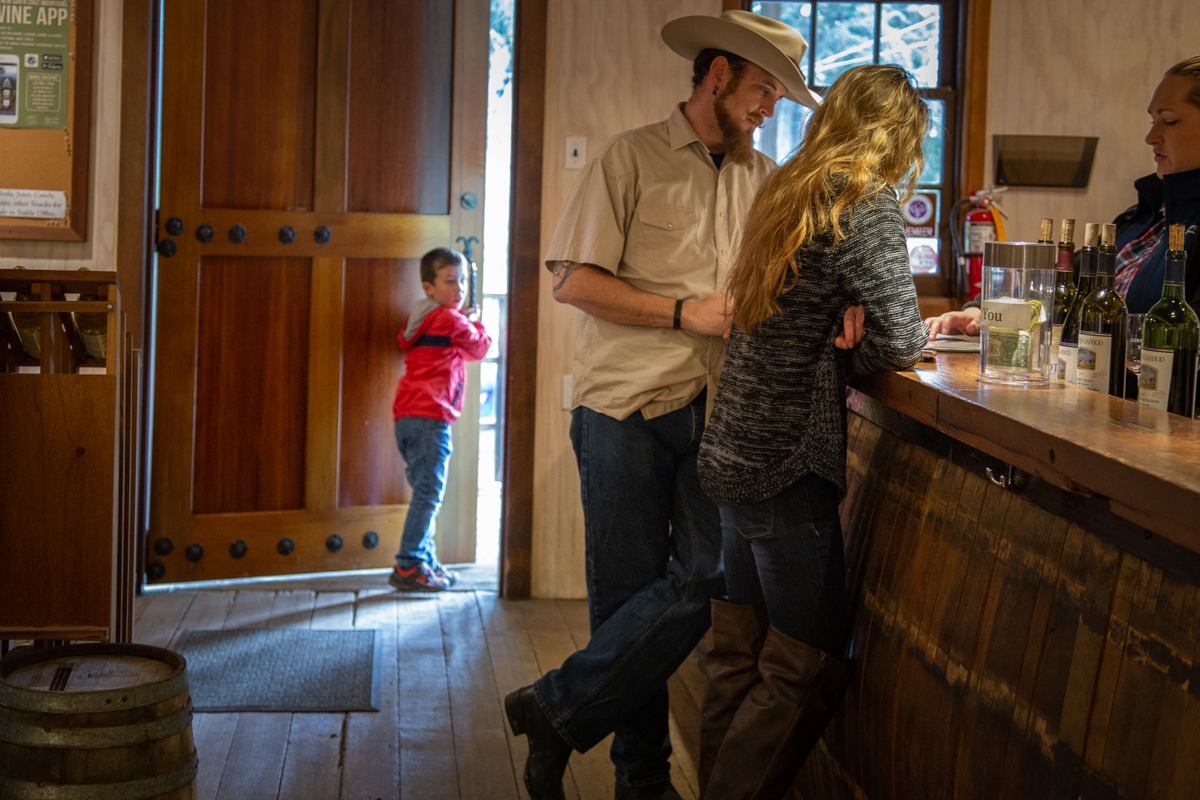 В гостях у виноделов