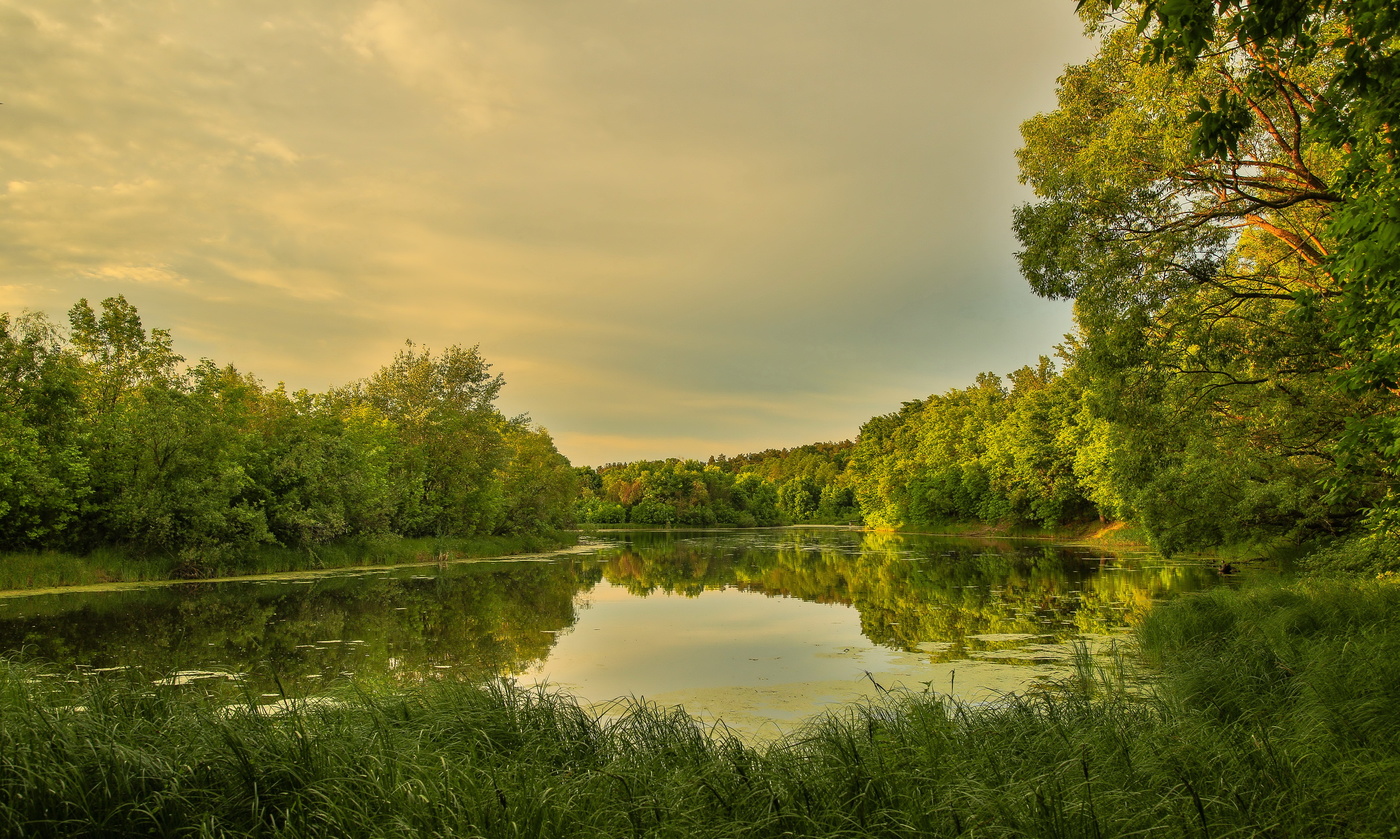 Там где бьют родники -