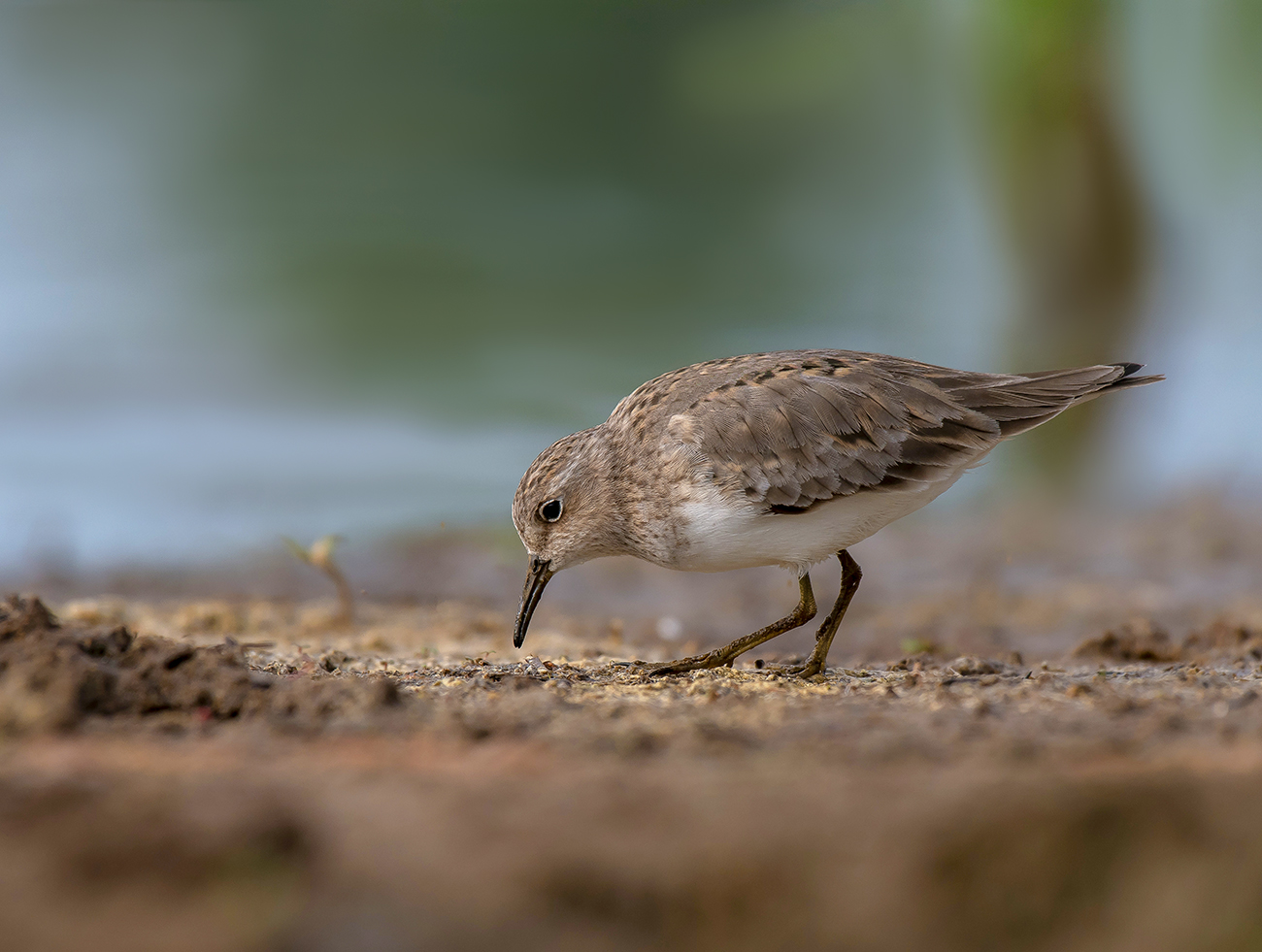 Прогулка по берегу.