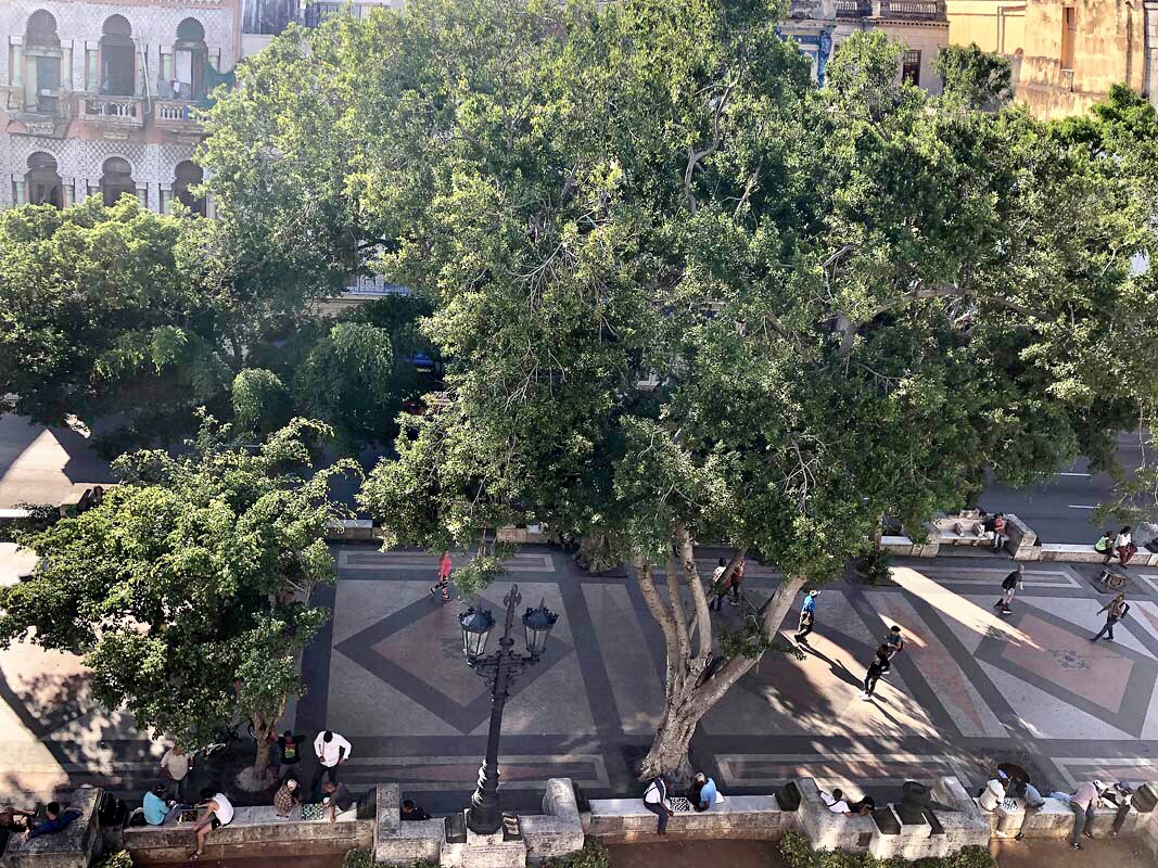 На бульваре