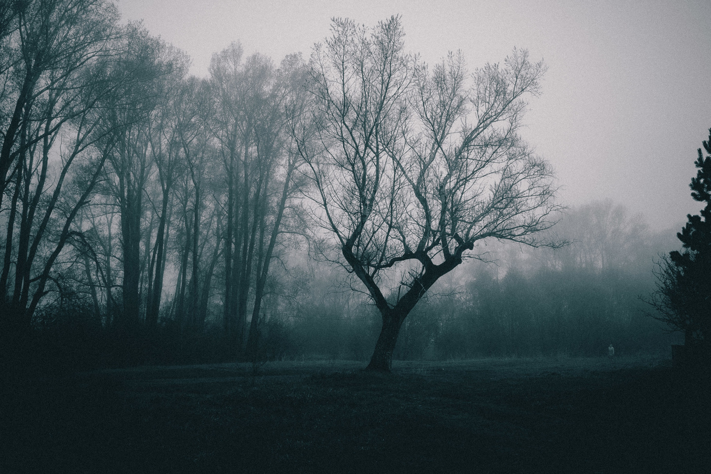 Тревожное утро