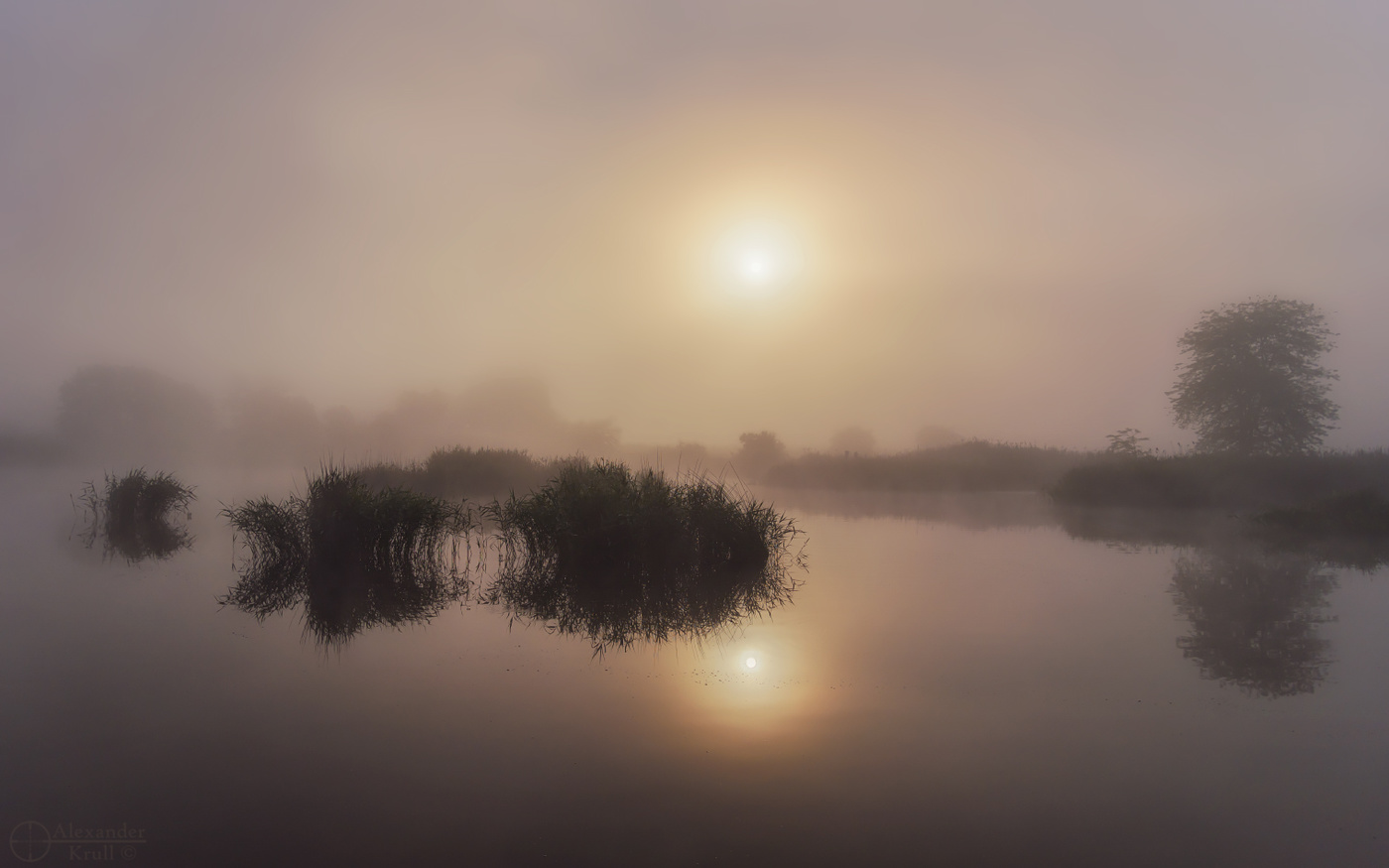 Утренняя феерия...