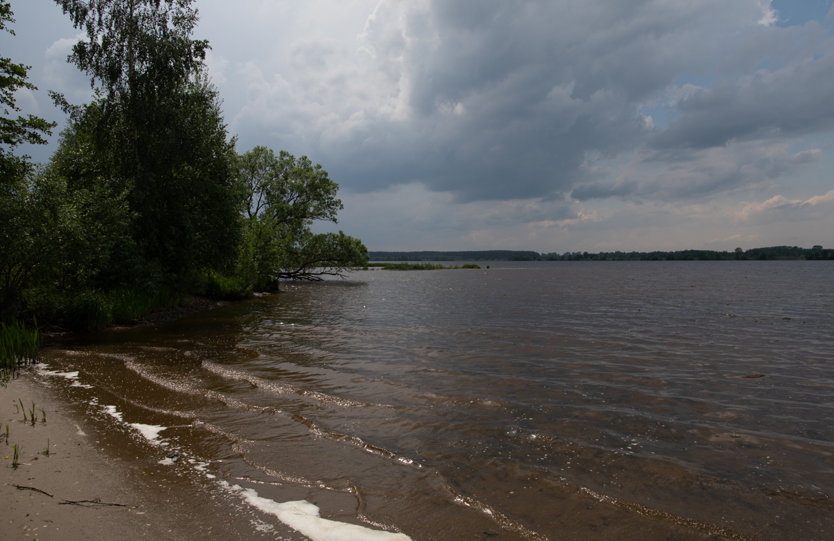 берег Волги