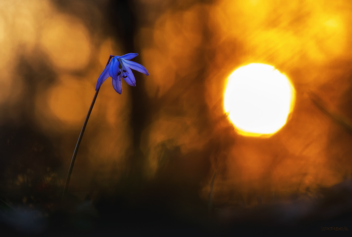 Финальная нота марта