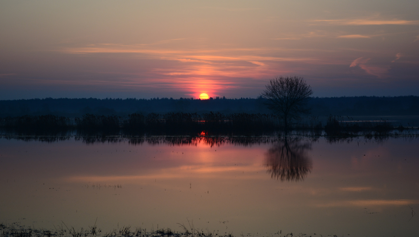 Весенняя вода