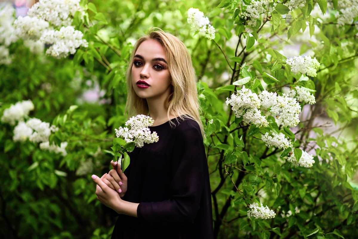 Белая сирень