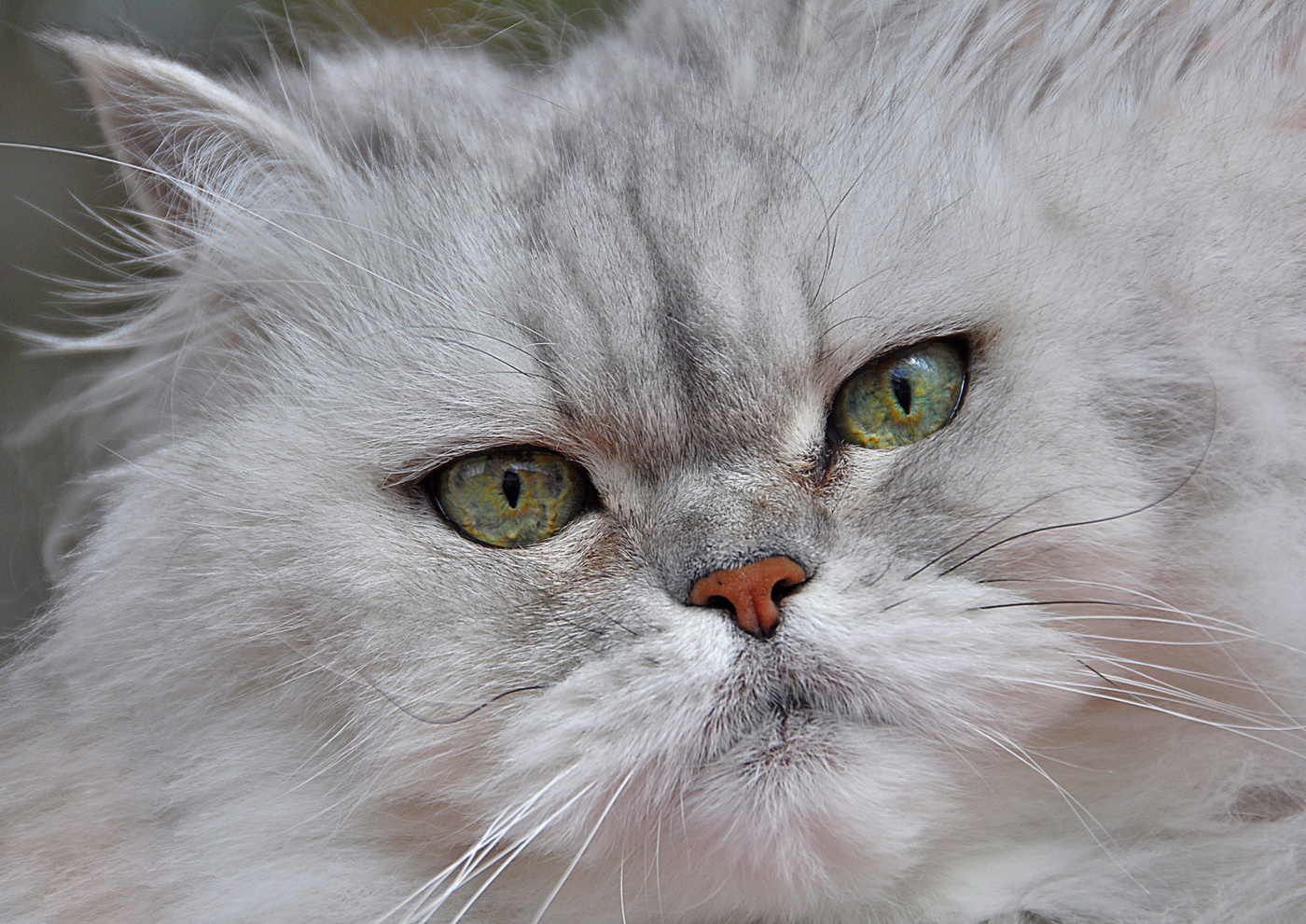 Точка притяжения