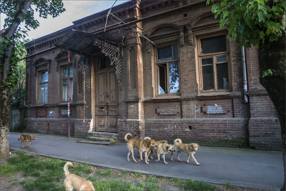 Рыжая банда (1).