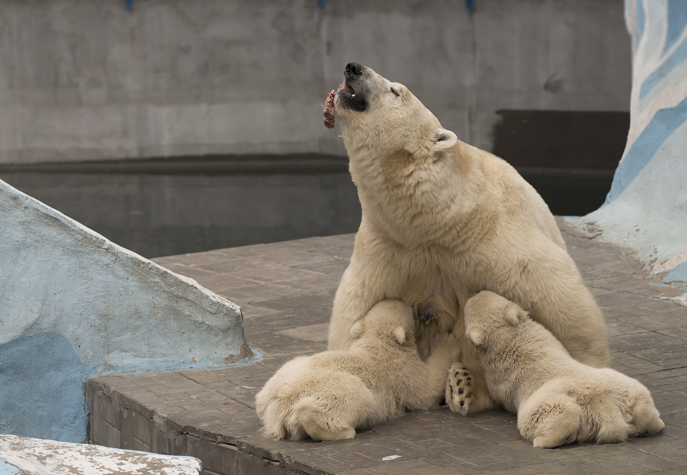 Точка притяжения