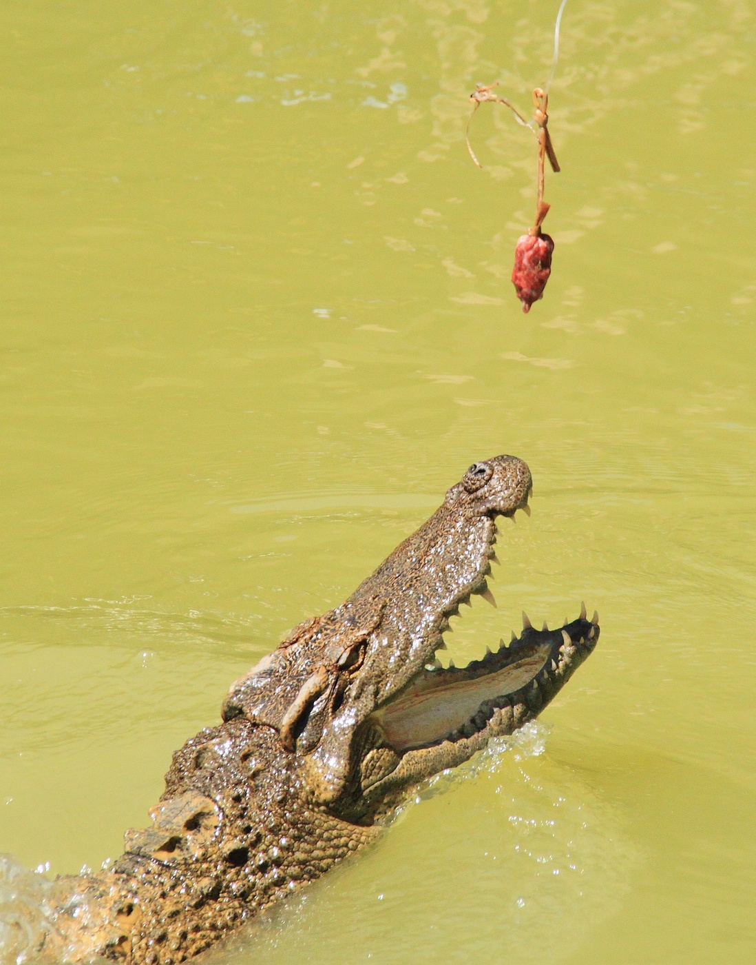 Точка притяжения