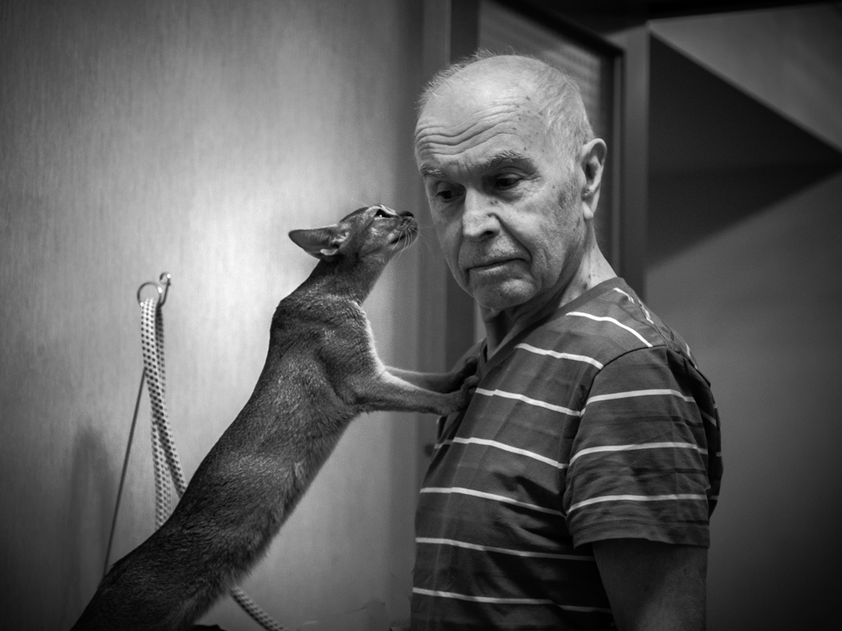 Точка притяжения