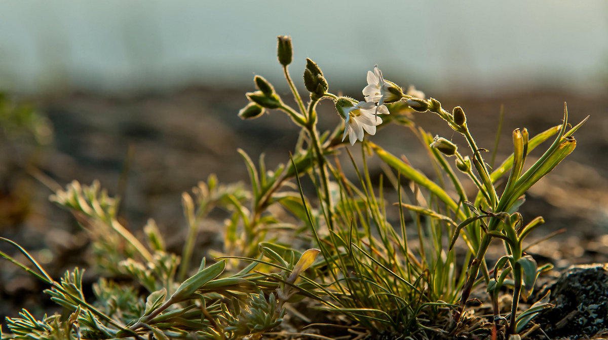 На исходе дня...