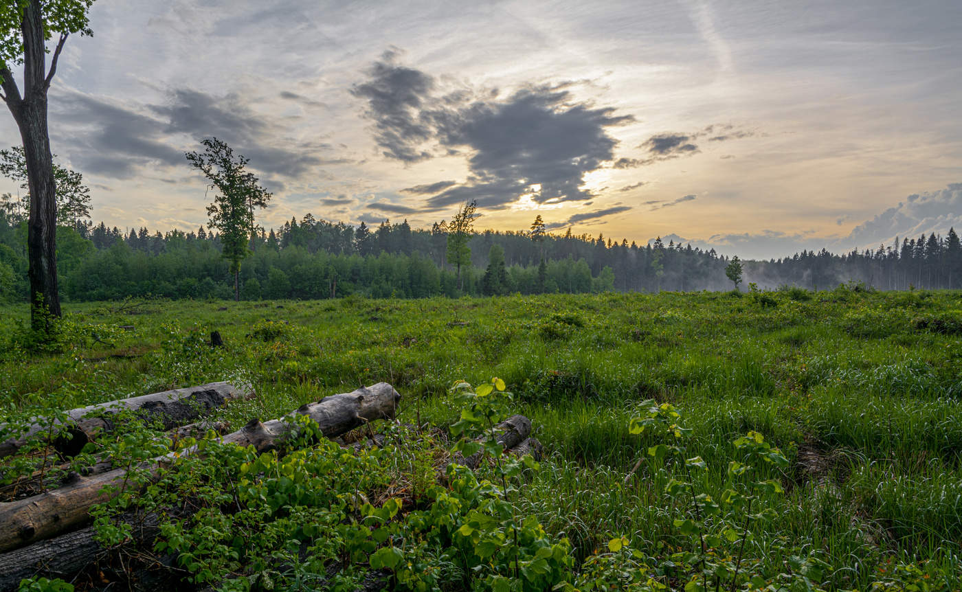 Подмосковные вечера