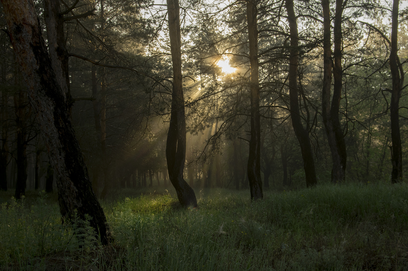 Сияние лучей