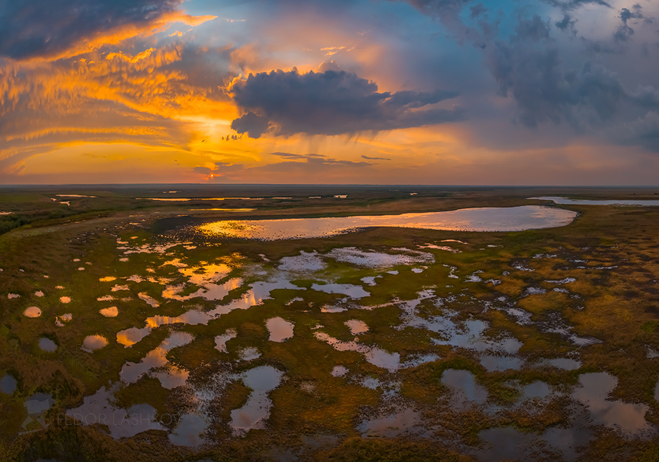 Болотно-озёрный край