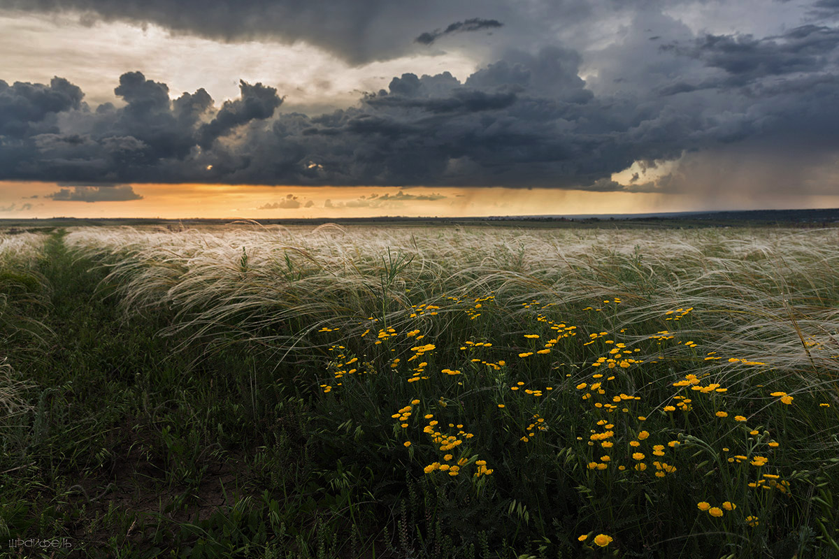 В конце весны