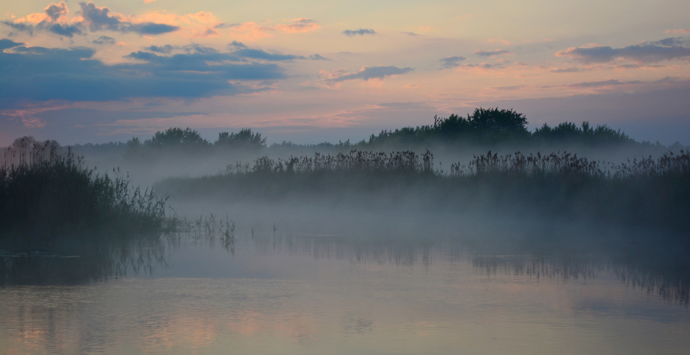 Июньское утро