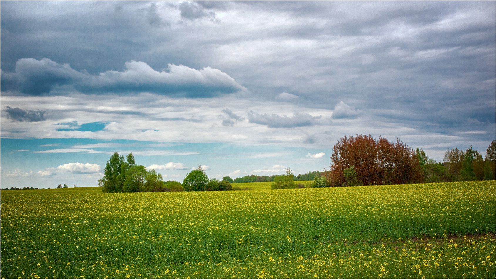 Майские краски
