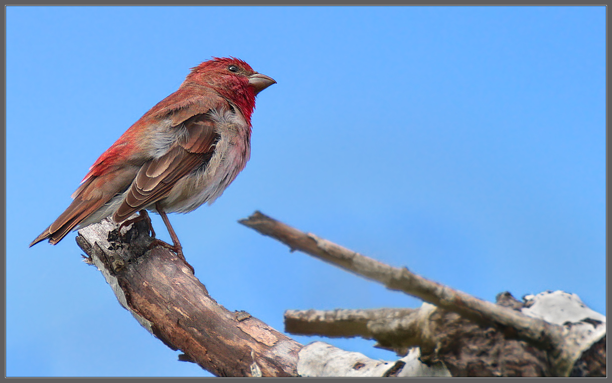 - Витю видел?