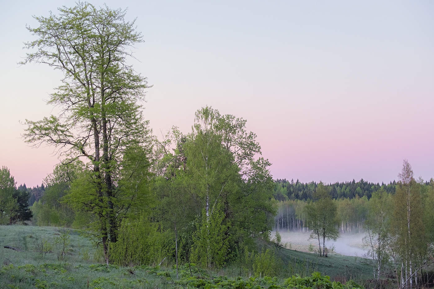 Майская изморозь