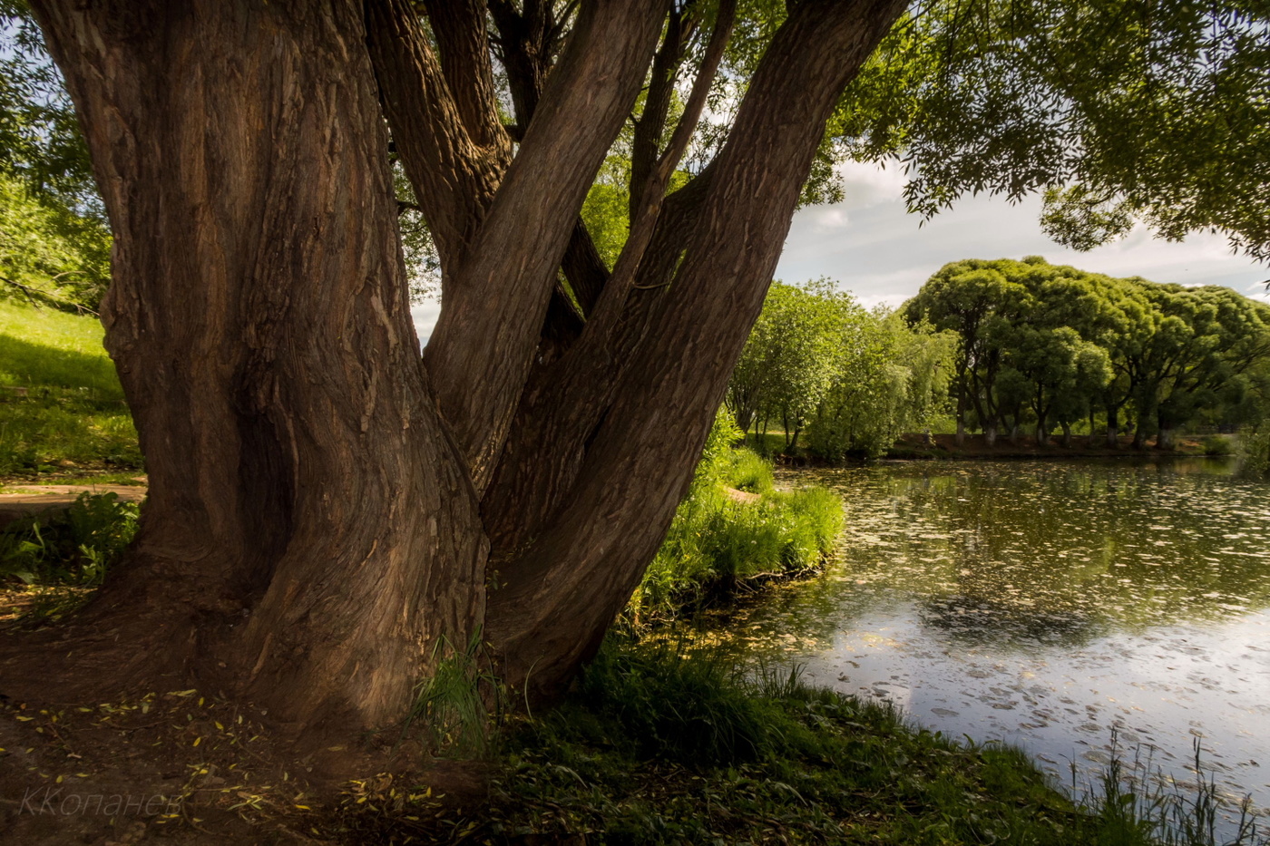 В гостях у сказки