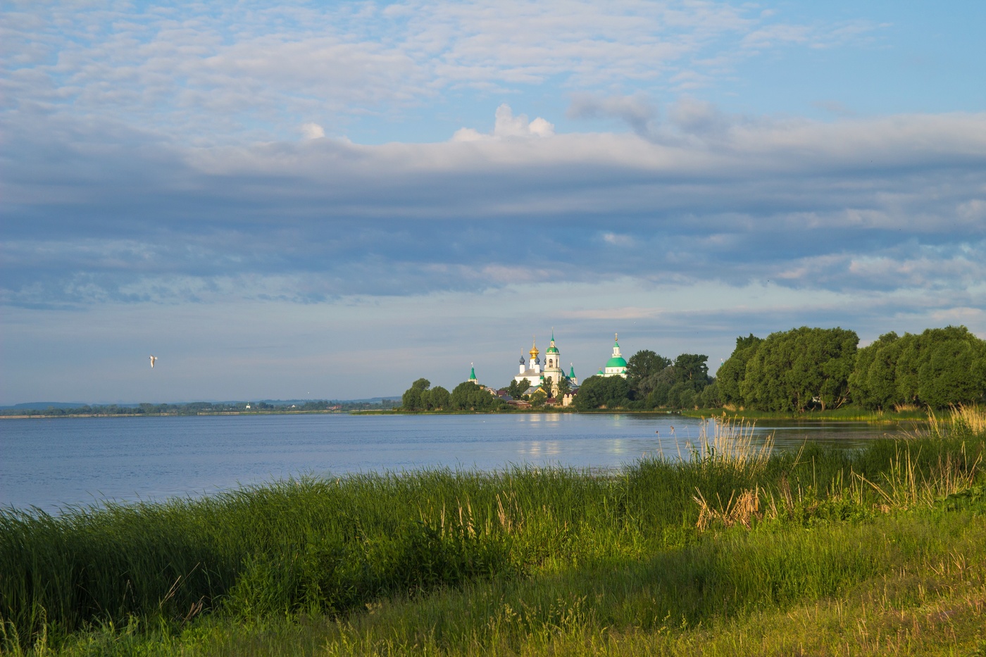 Летнее утро