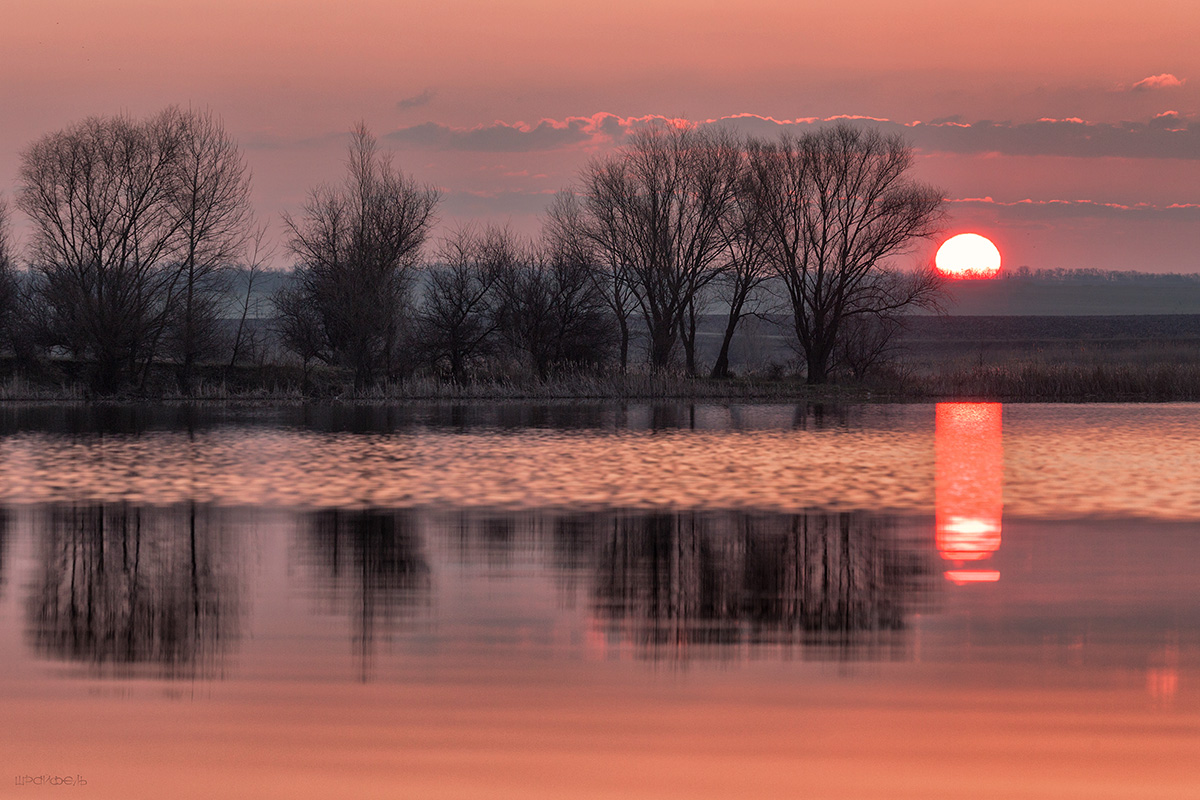 День начался