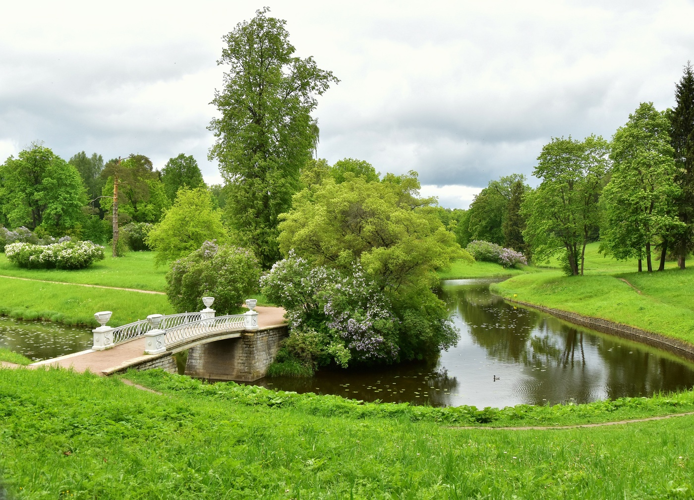 ...от благовонного дыхания сирени