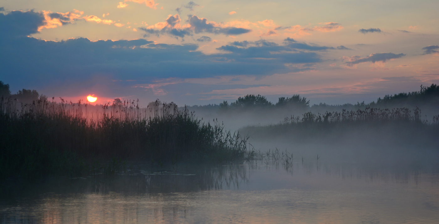 Июньский рассвет