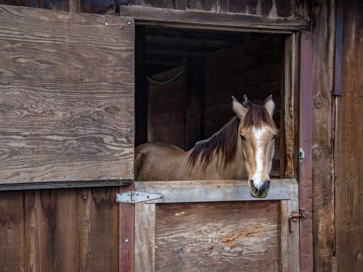 Хочу на волю!