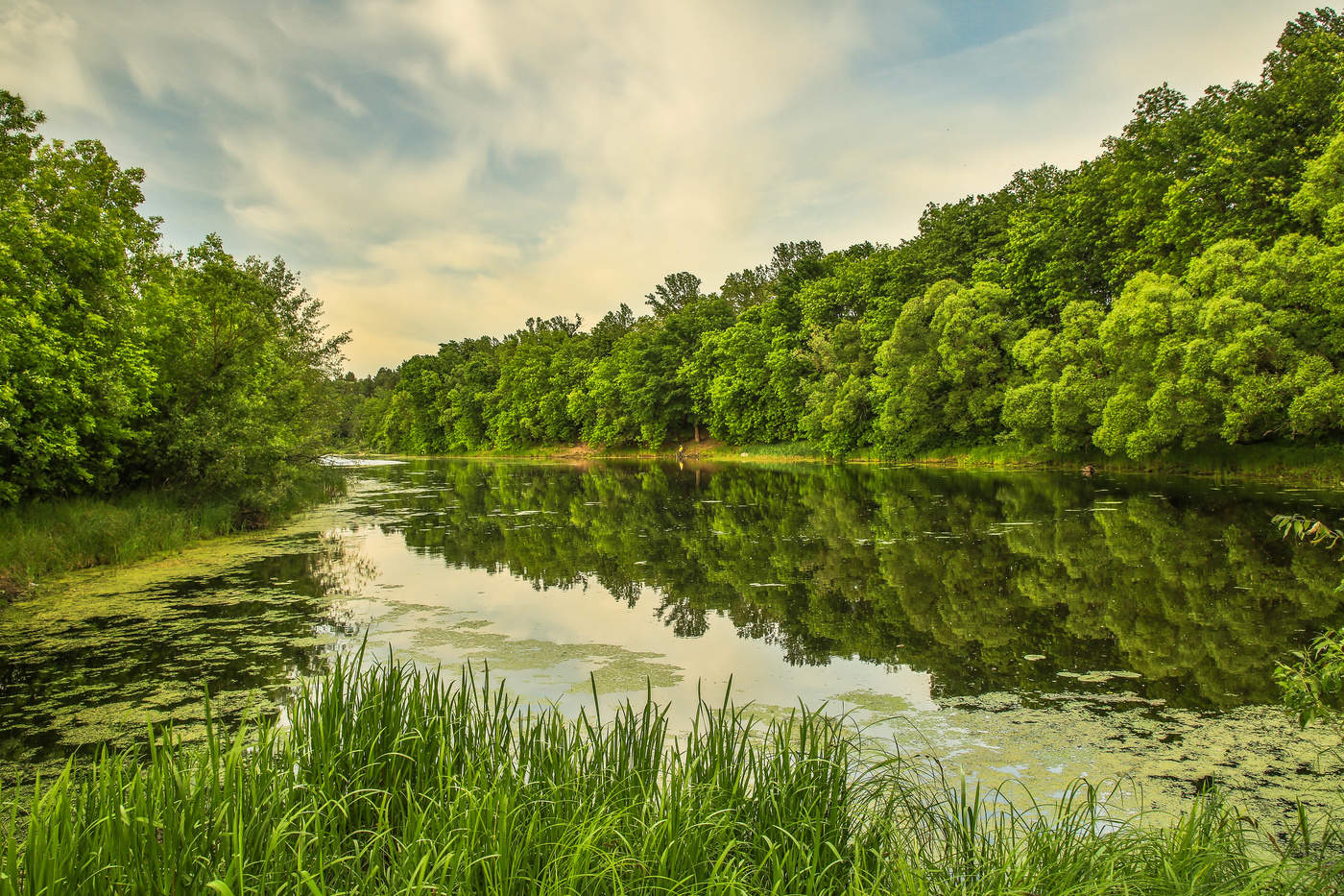 Там где притаились караси...
