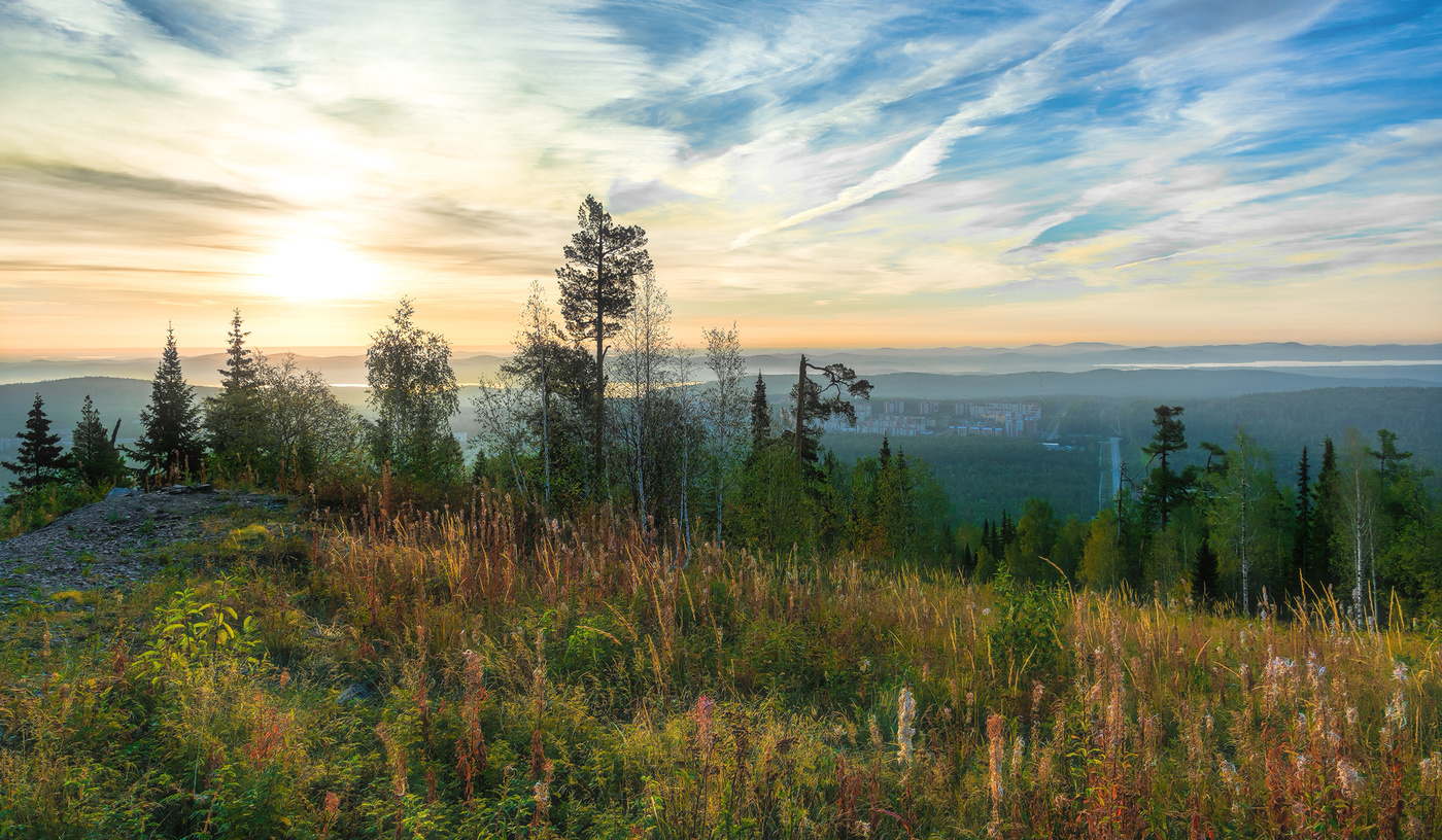 Осеннее разноцветье