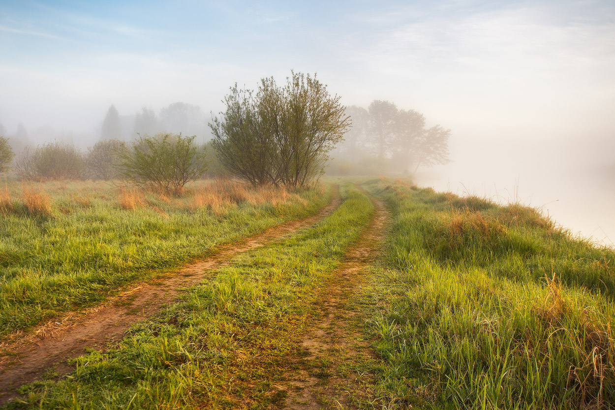 Весна. Берега Березины