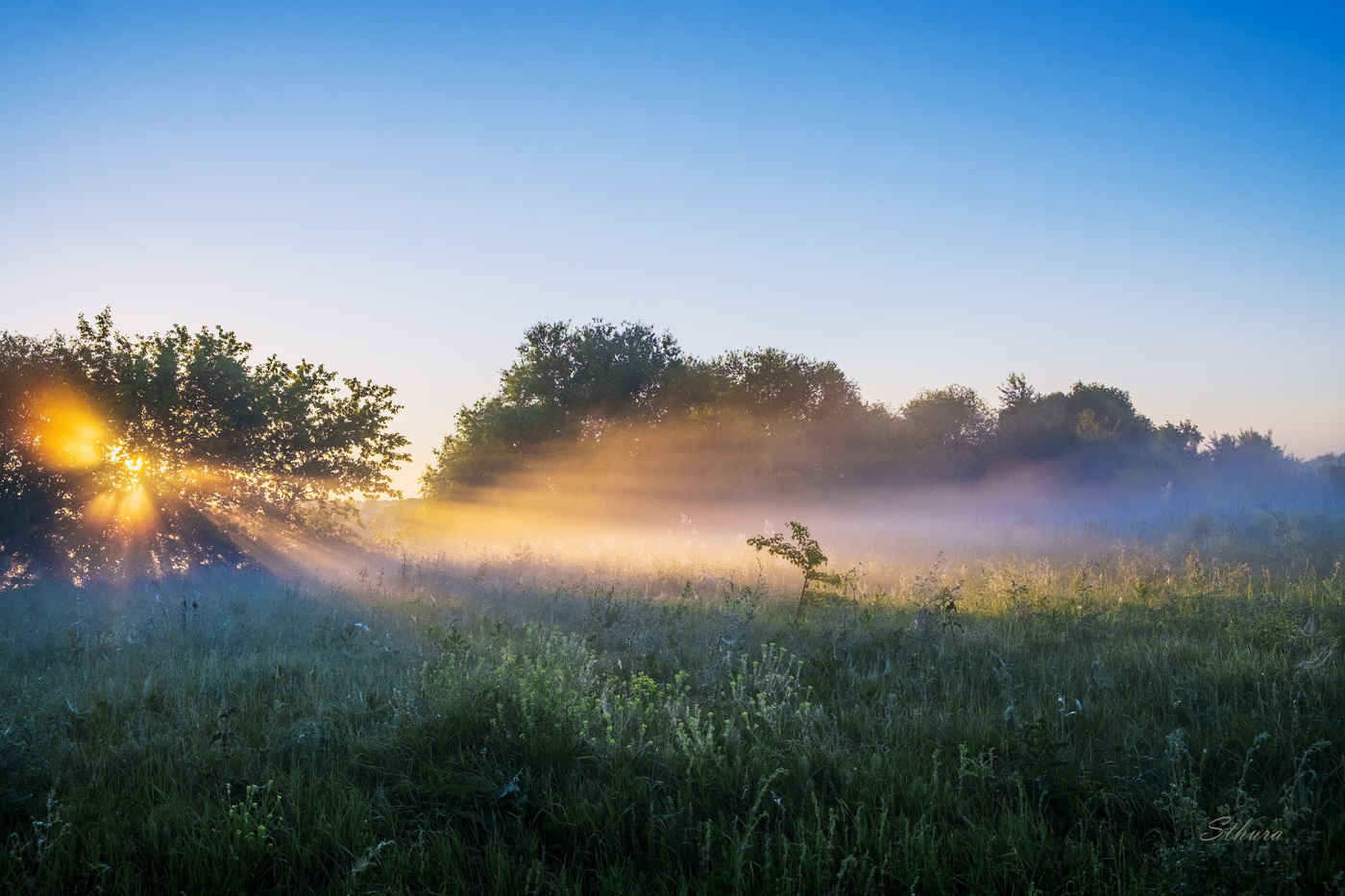 Рассвет в поле.