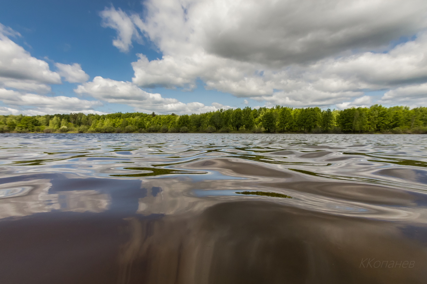 Летние мотивы