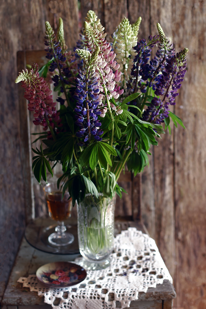 С люпинами...