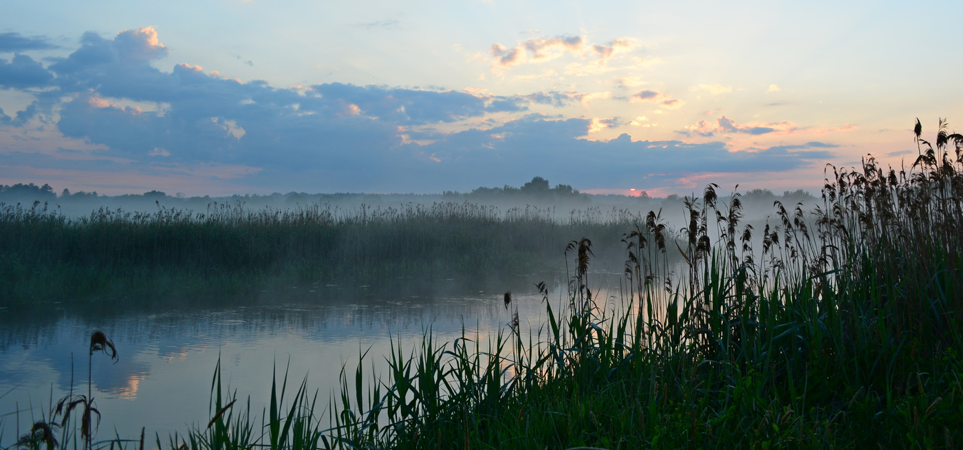 Утренние просторы