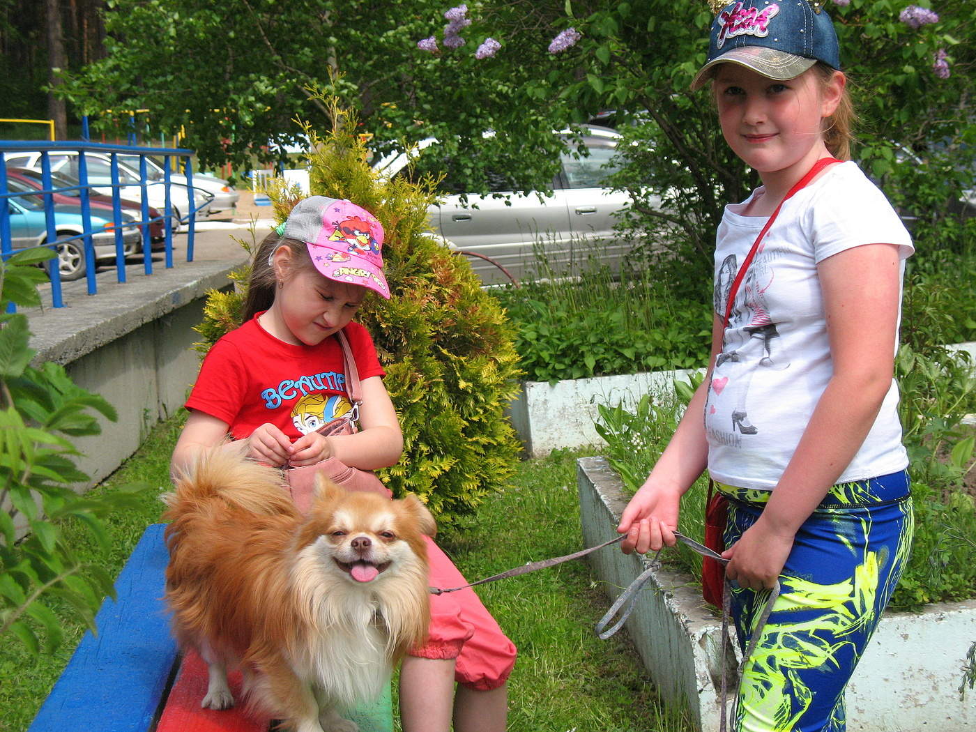 Правильное лето