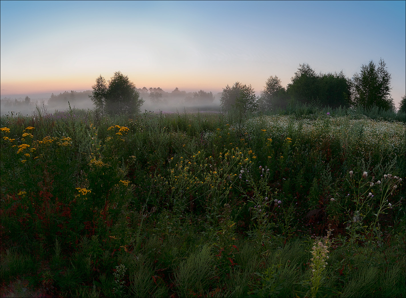 Правильное лето