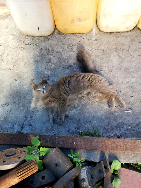 Правильное лето