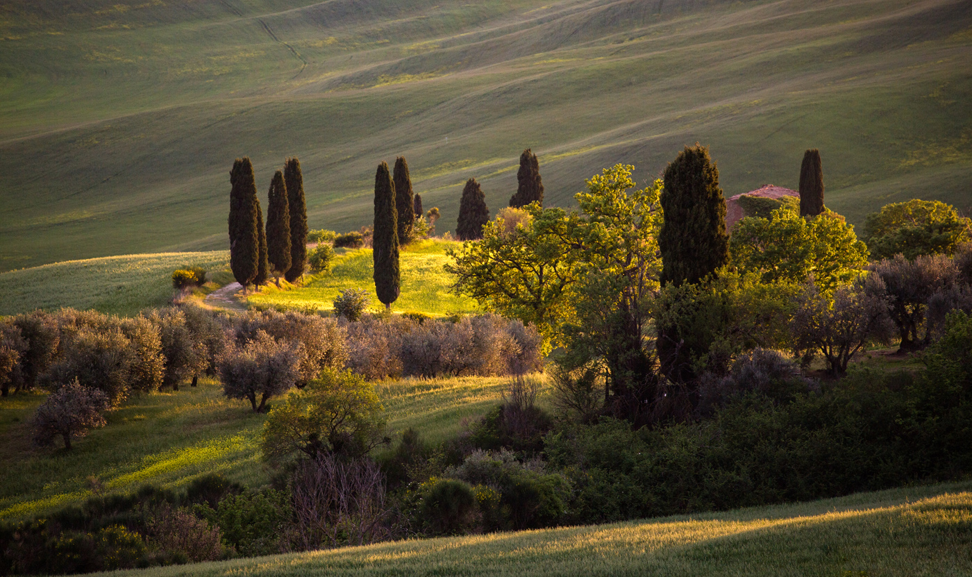 Ловушка для солнечного зайчика
