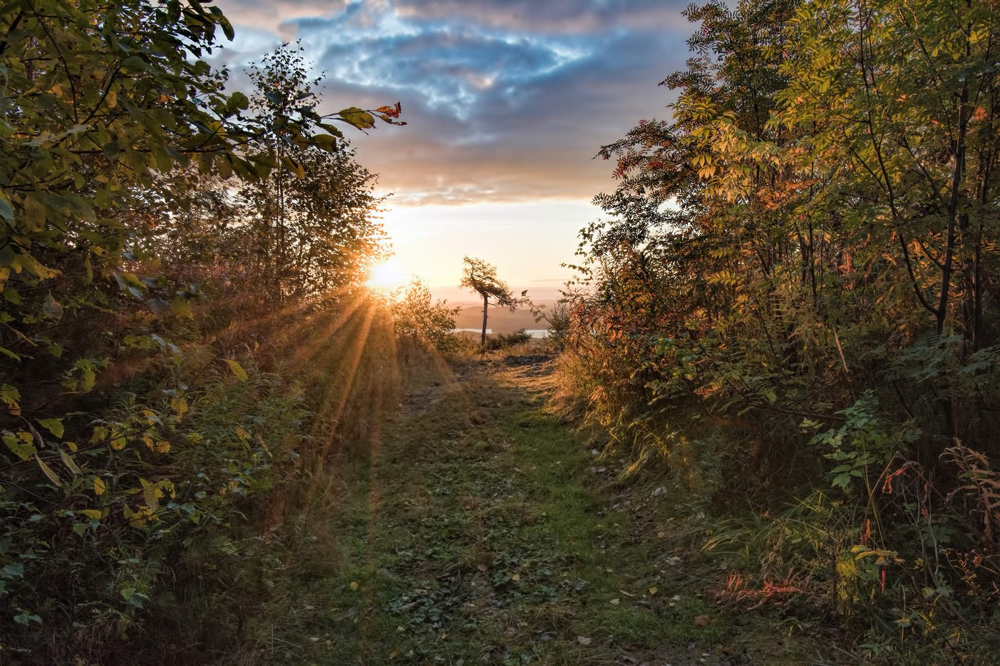 Утренние лучи