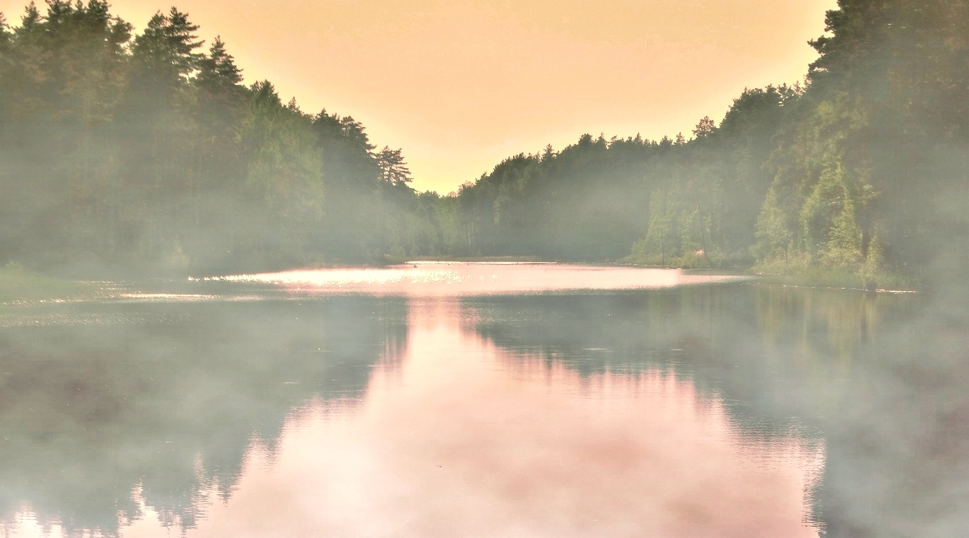 Эти летние туманы