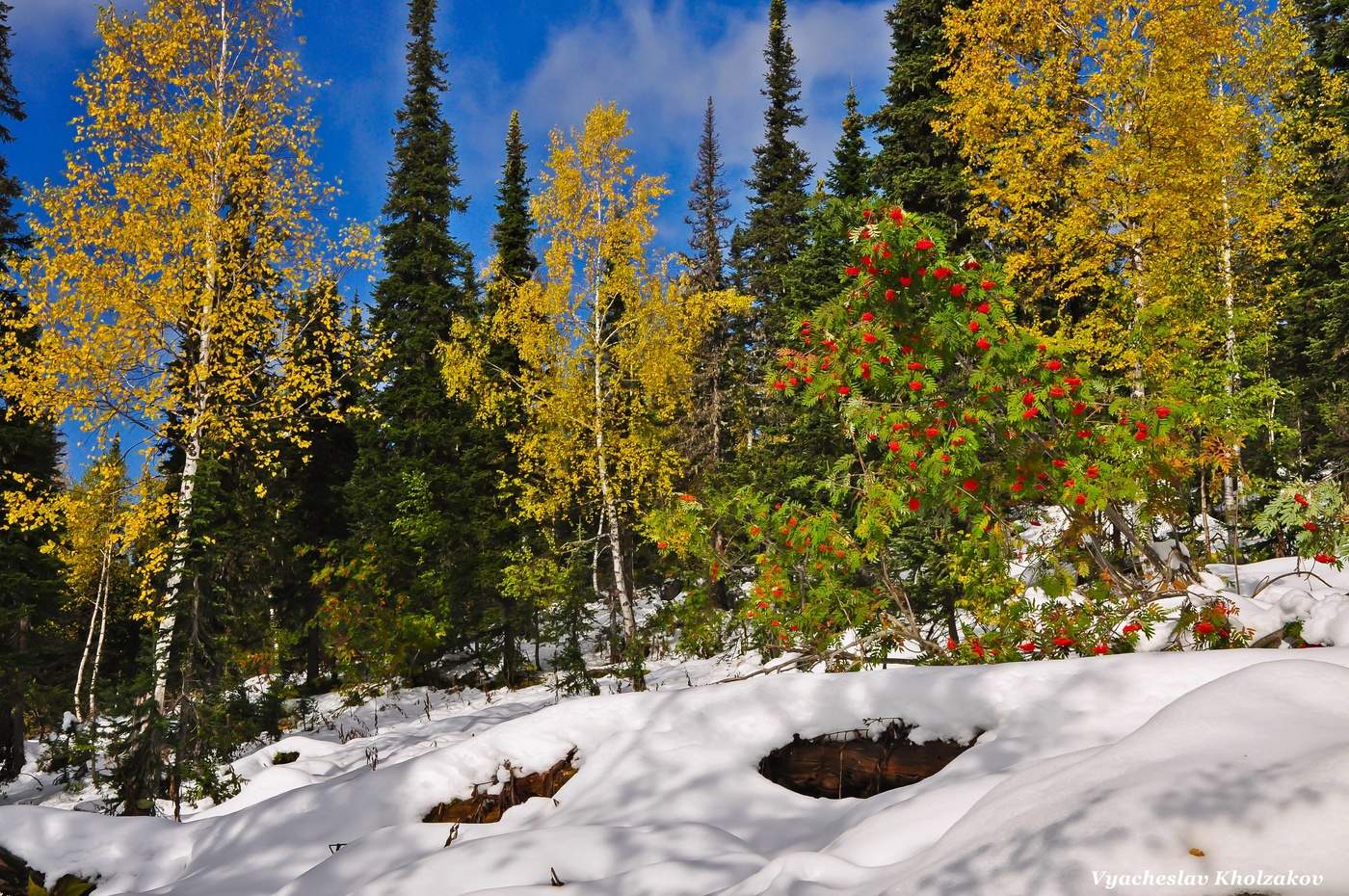 Осень: первый снег