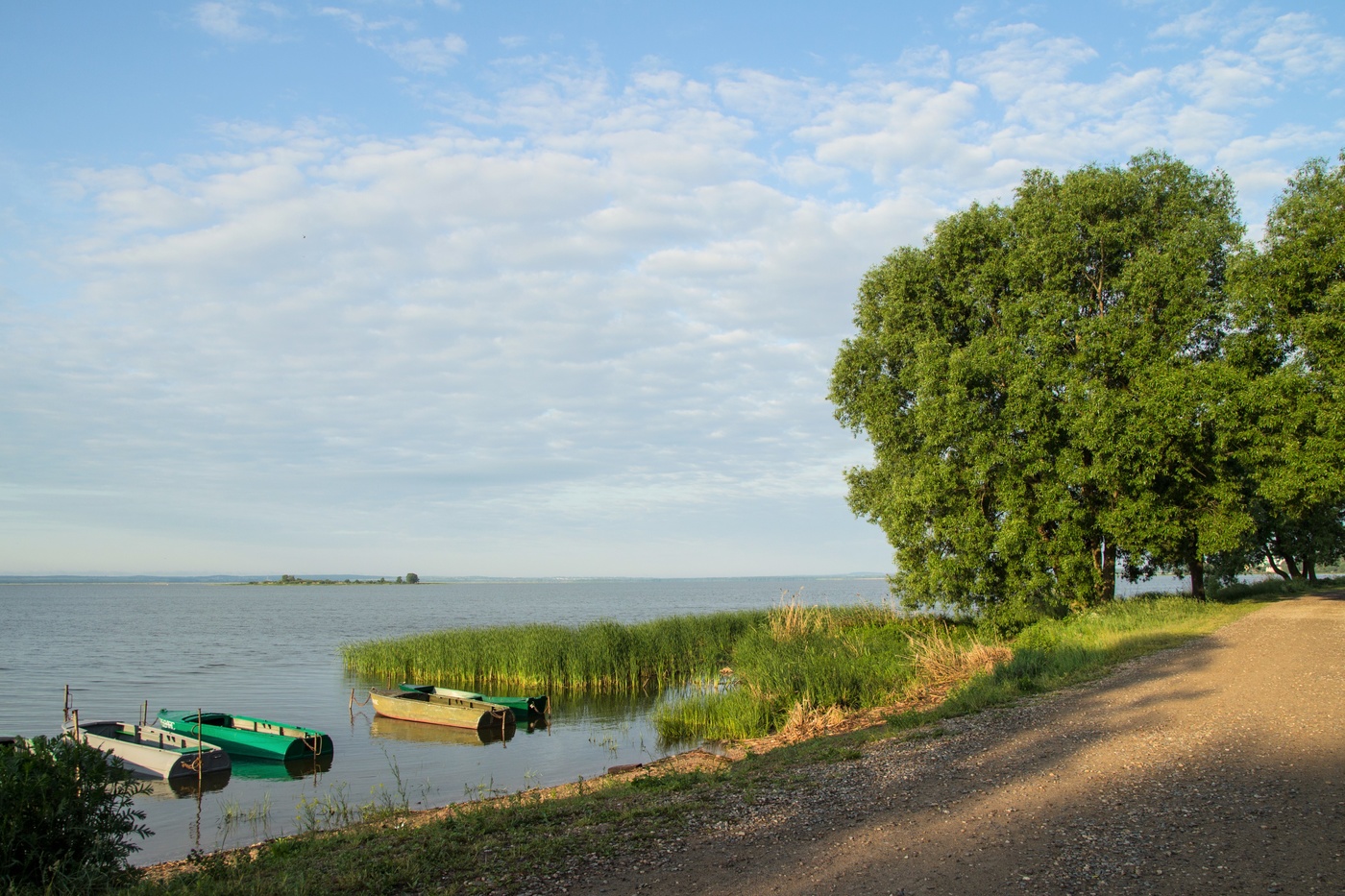 Лето на озере