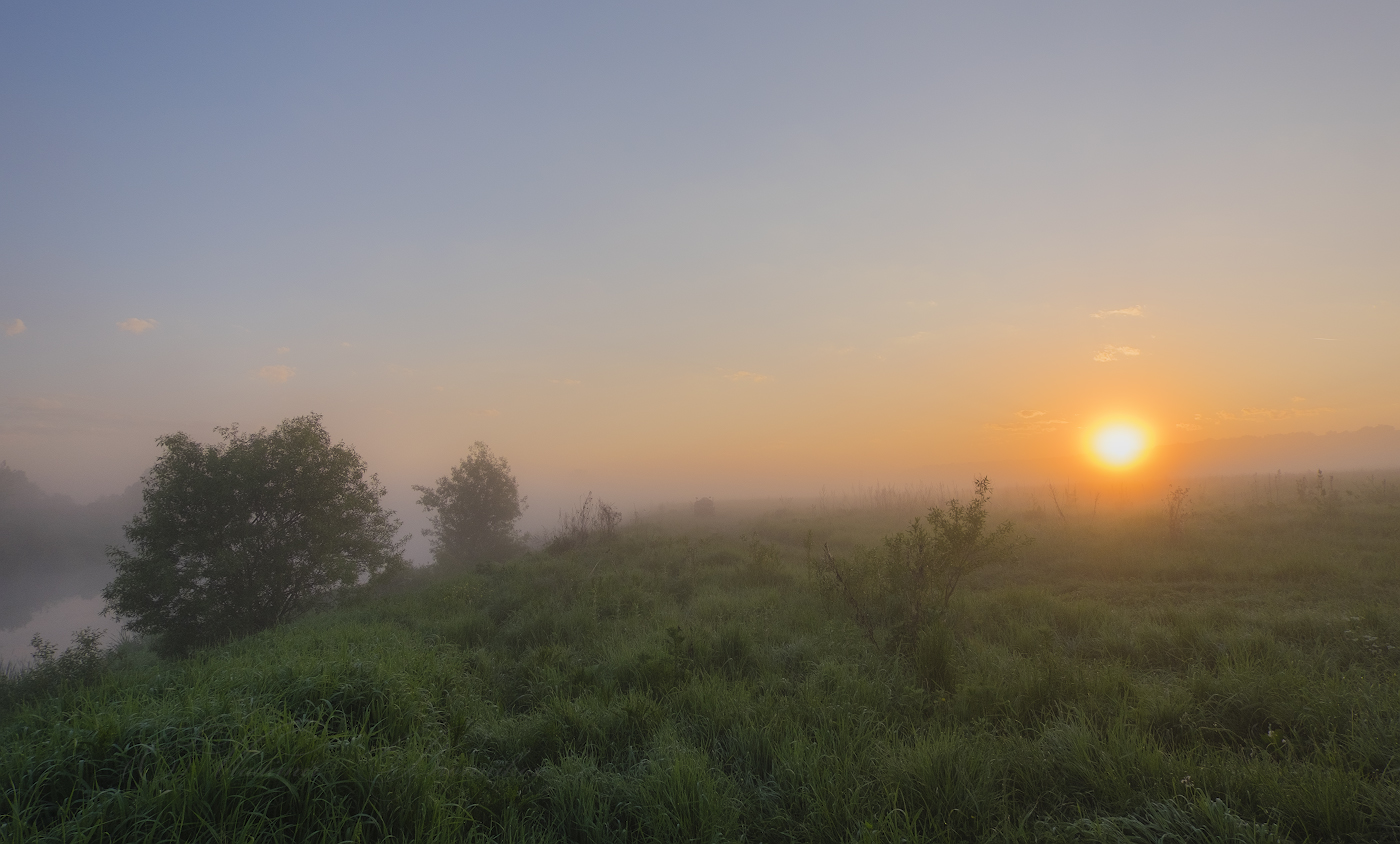 Туманное утро