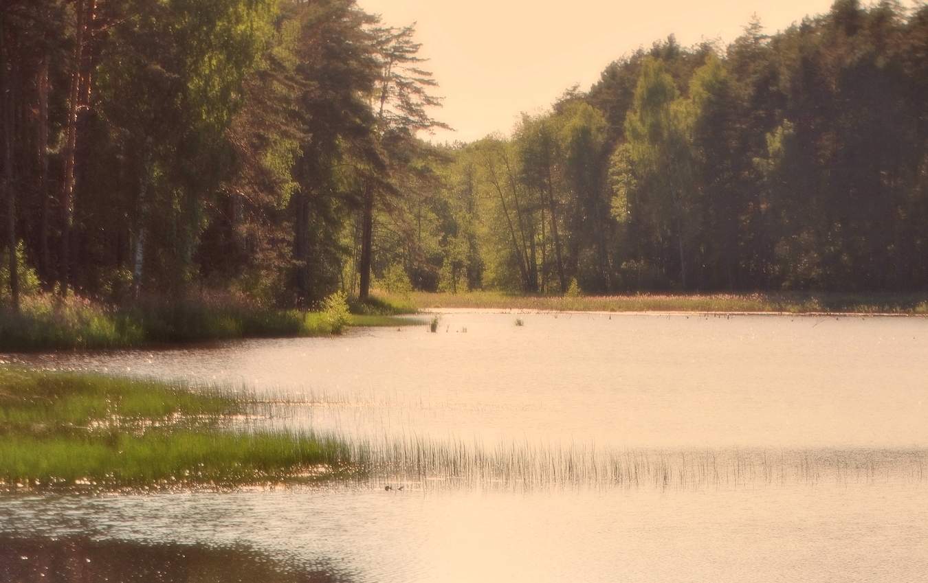 Вечерняя дымка, как сон окутала природу
